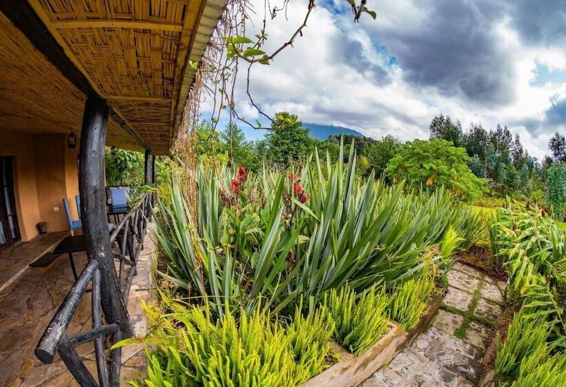 هتل Sambora Kinigi