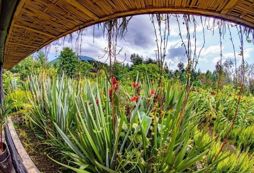 هتل Sambora Kinigi