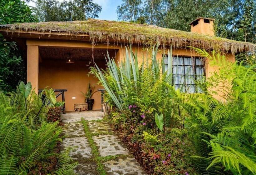 هتل Sambora Kinigi