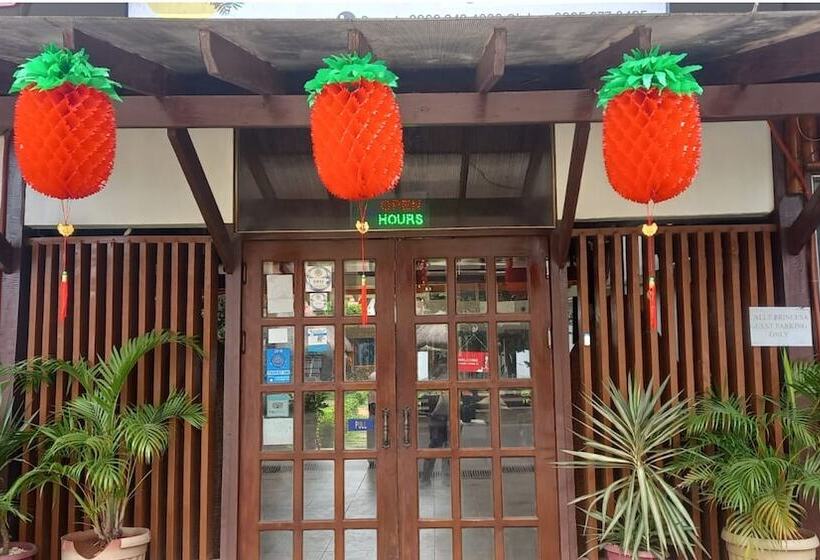 بنسيون Bea S Garden Inn