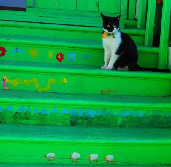 پانسیون Green Stairs Guest House