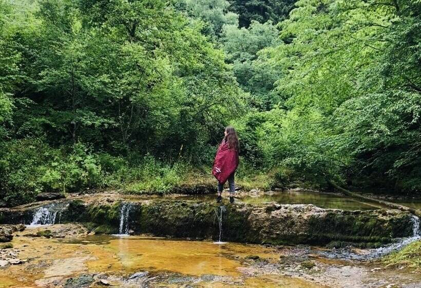 پانسیون Guest House Racha