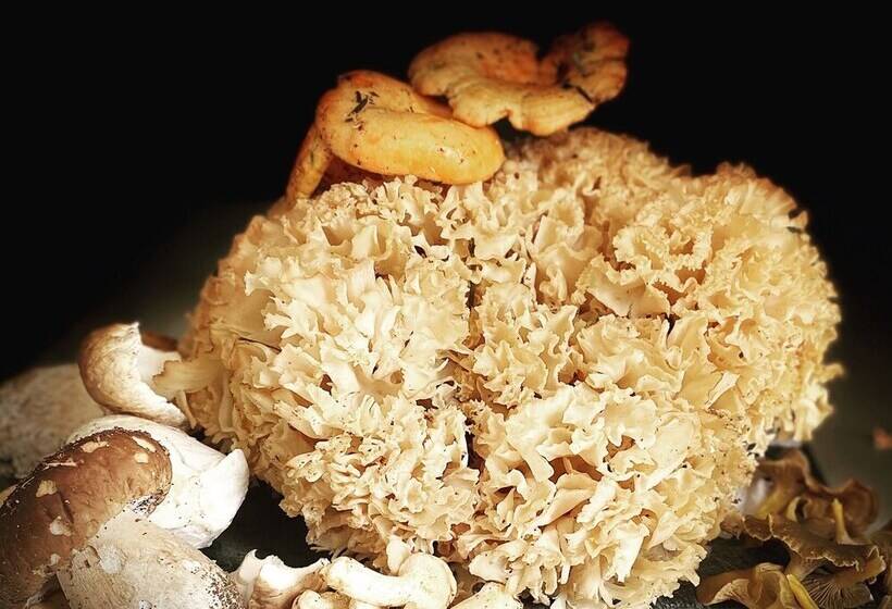 צימר Chambre D Hôtes La Vaisse