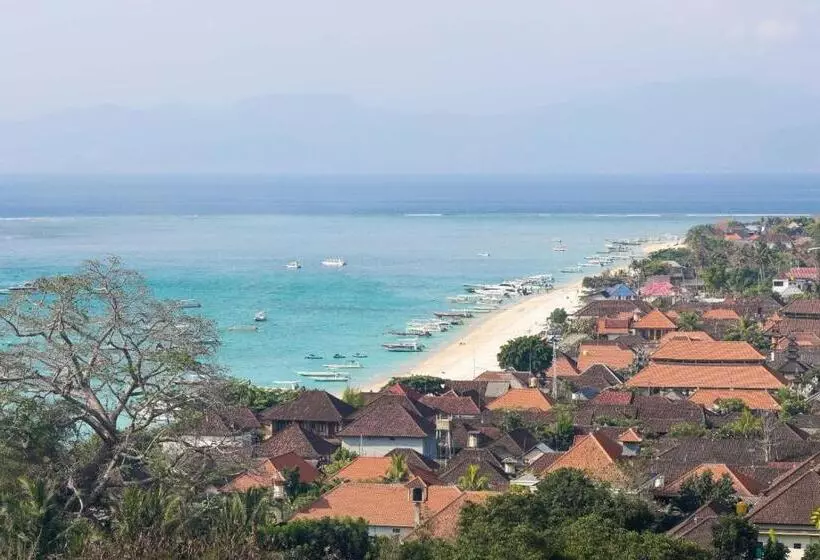 Castaway Island Hostel