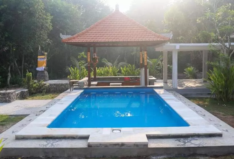 Castaway Island Hostel
