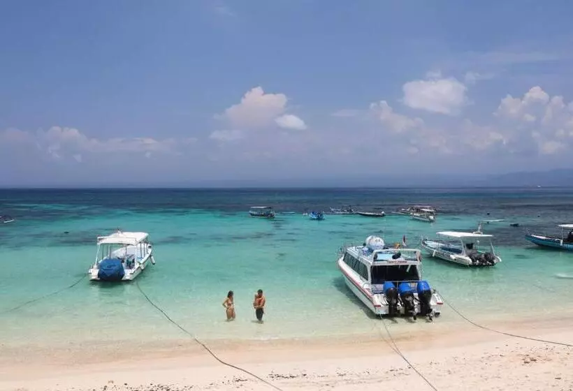 Castaway Island Hostel