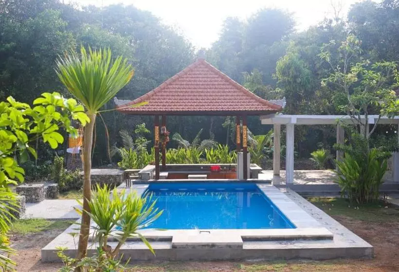 Castaway Island Hostel