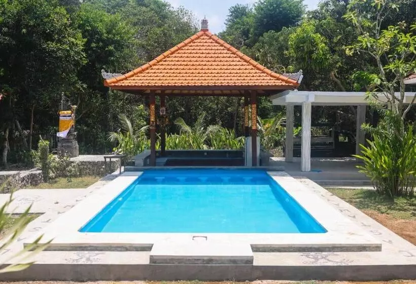 Castaway Island Hostel
