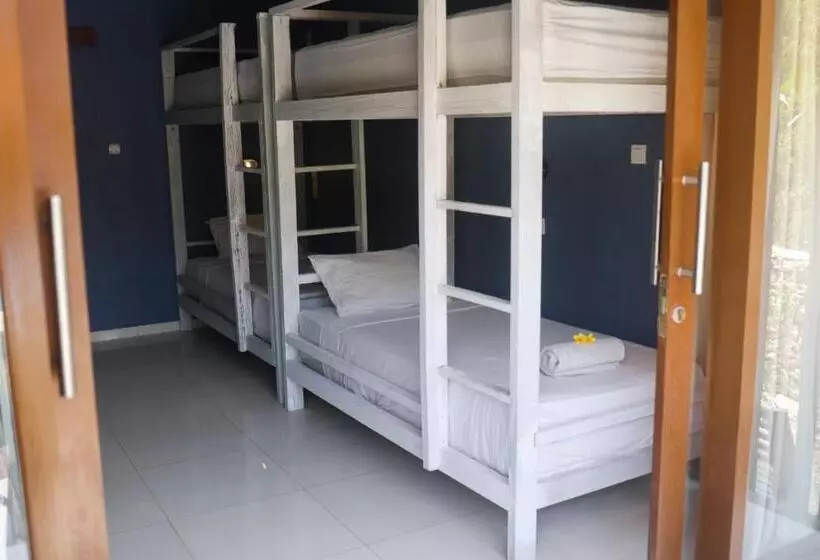 Castaway Island Hostel