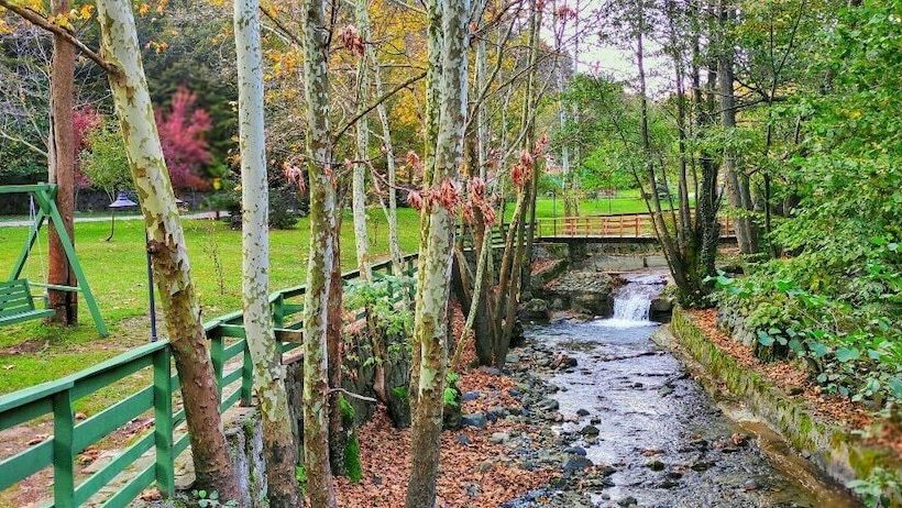 Feel & Live Hotel Villas Restaurant