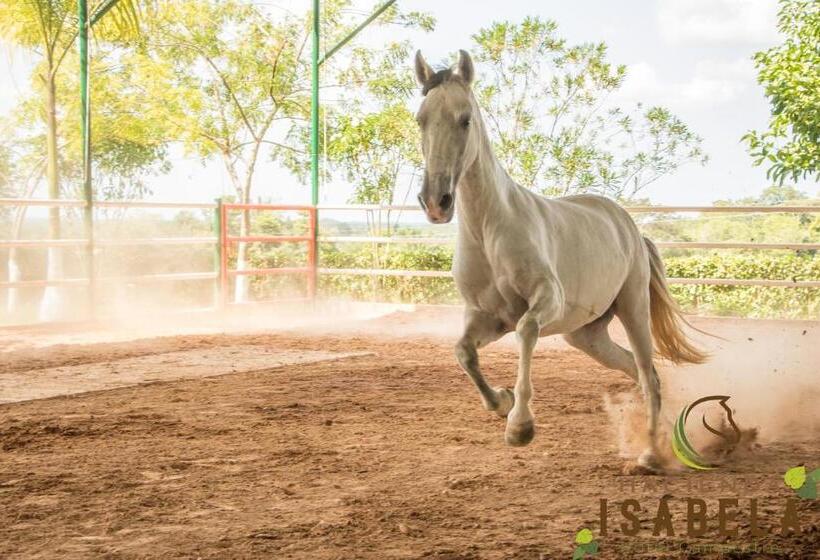 Hacienda Isabela Hotel Campestre