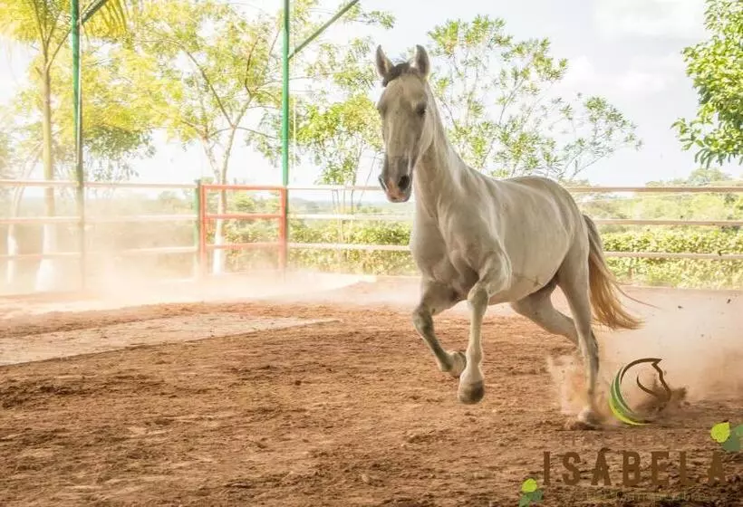 Hacienda Isabela Hotel Campestre