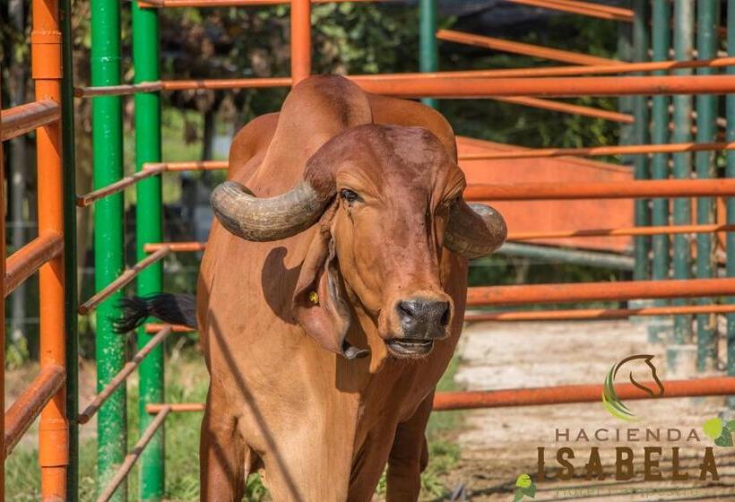 Hacienda Isabela Hotel Campestre