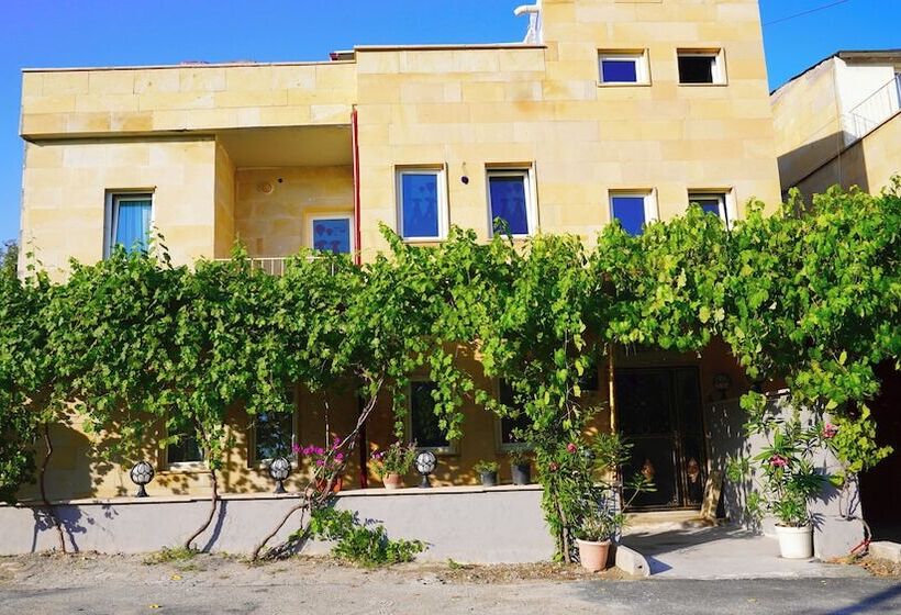 هتل Alpha Stone House