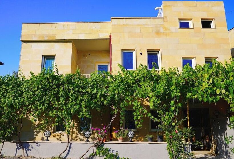 هتل Alpha Stone House