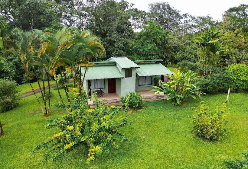 בית מלון כפרי Confort Arenal