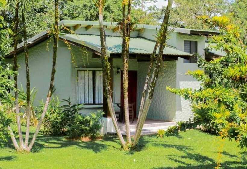 בית מלון כפרי Confort Arenal