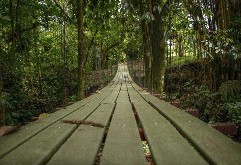 בית מלון כפרי Confort Arenal