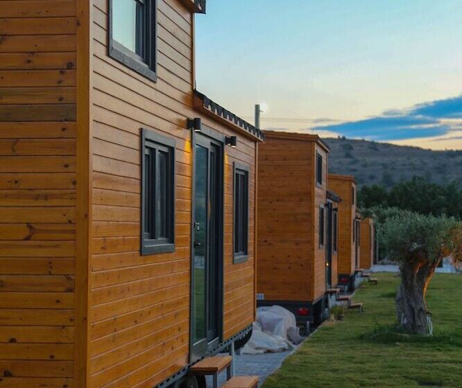 فندق Enginar çiçeği