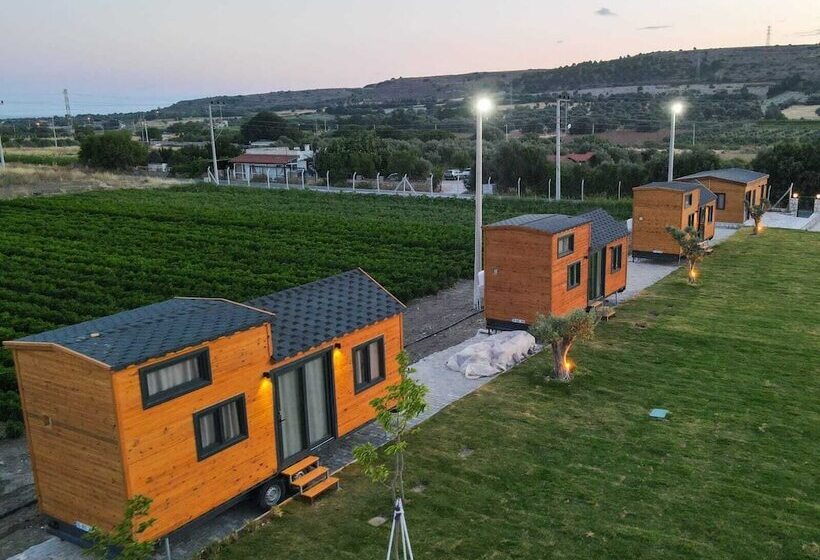 فندق Enginar çiçeği