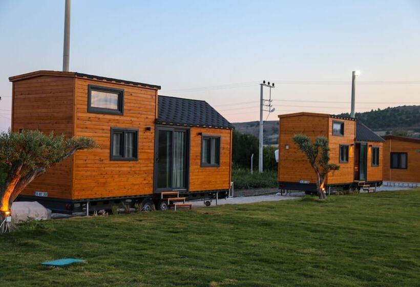 فندق Enginar çiçeği