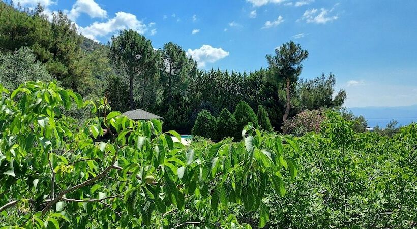 هتل Malikane Luxury Resort