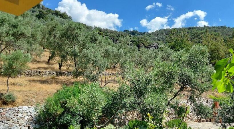 هتل Malikane Luxury Resort