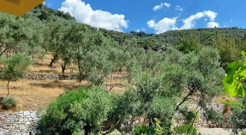 هتل Malikane Luxury Resort