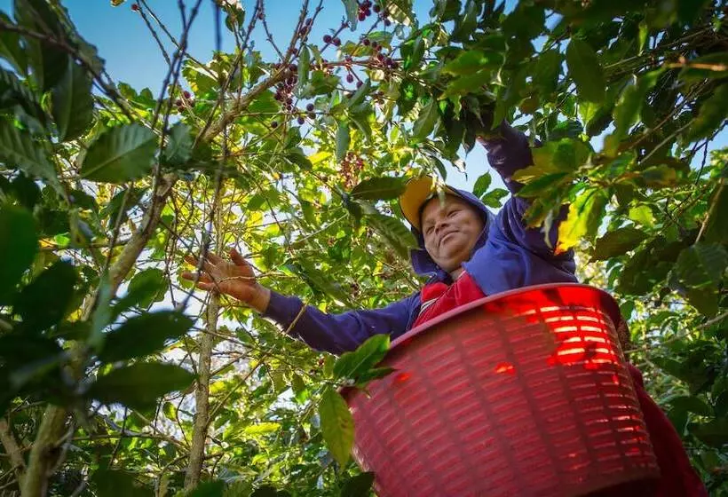 ホテル Tamì Lodge