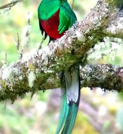 ホテル Tamì Lodge