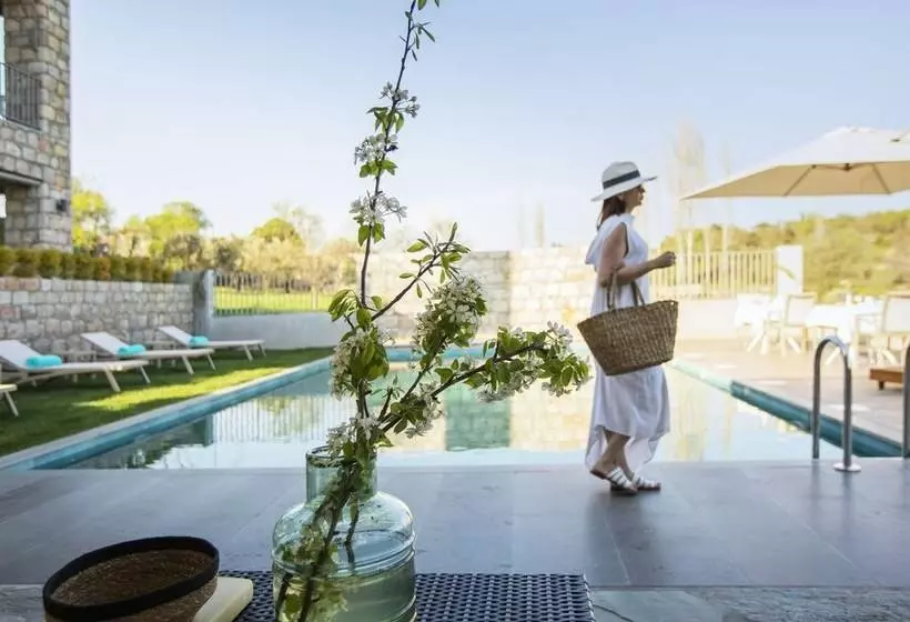 ホテル Trio'da Kazdaglari