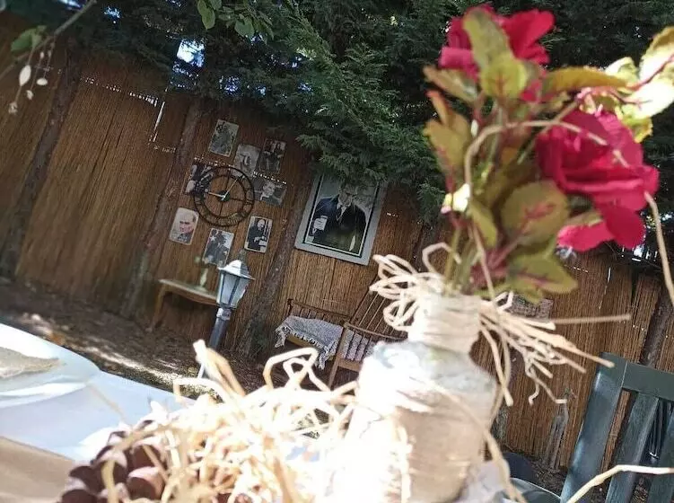 ホテル Turgan Butik Villa