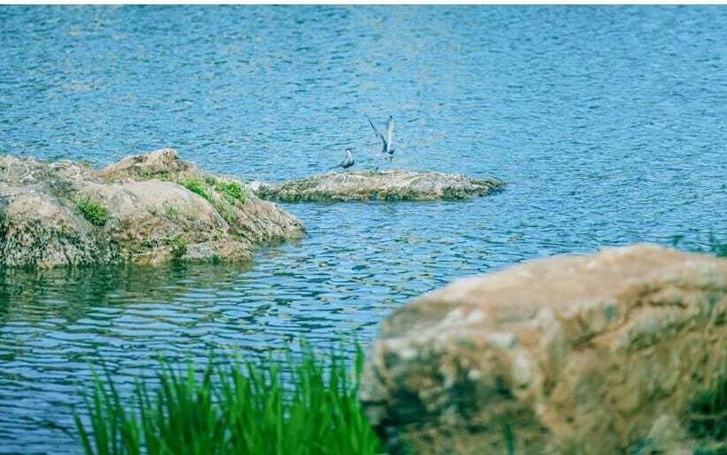 בית מלון כפרי Xiongan International