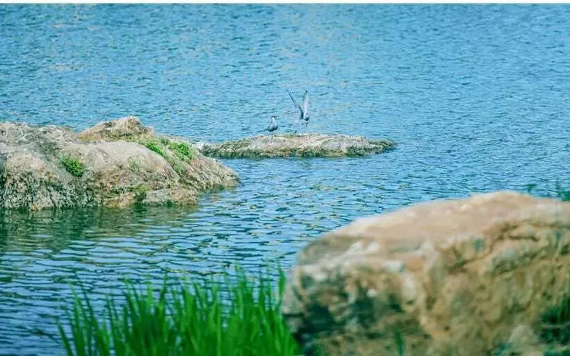 Hotelli Xiongan International