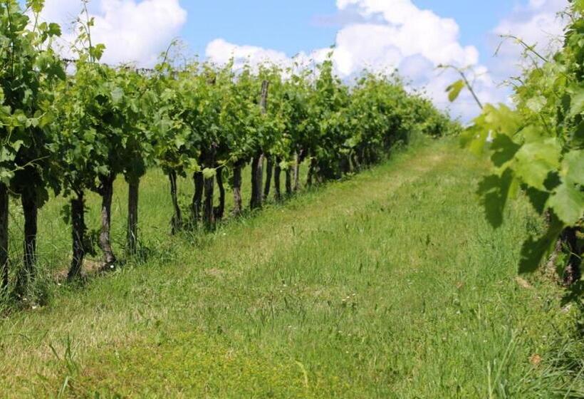 Le Domaine Du Bel Air B&b