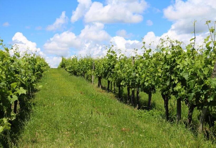 Le Domaine Du Bel Air B&b