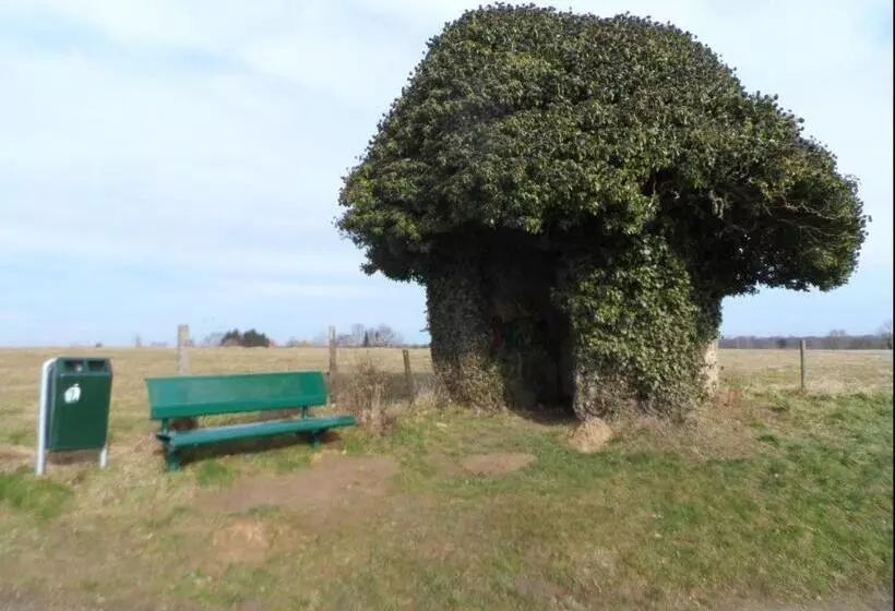 ペンション Gîte D Anthisnes