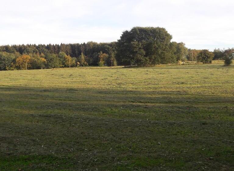 פנסיון Gîte D Anthisnes