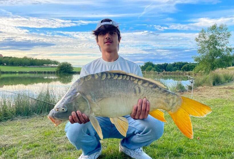 פנסיון Gîtes Les Sources