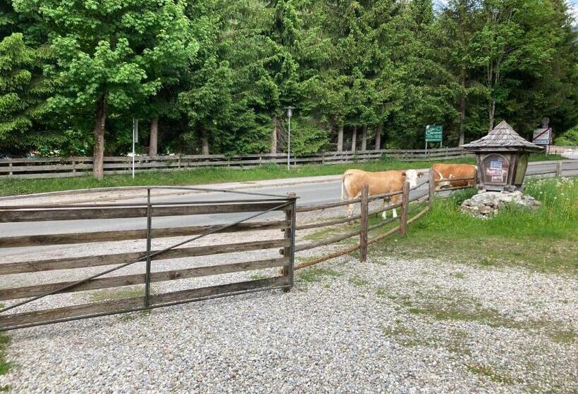 بنسيون Haus Am Mühlenweg