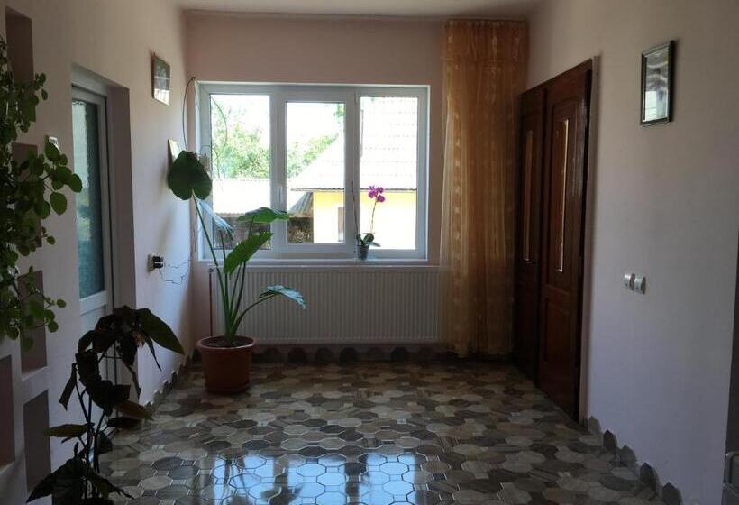 ペンション Sub Creasta Cocosului