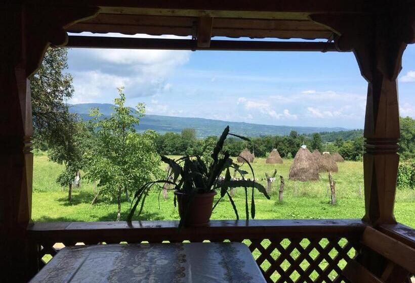 ペンション Sub Creasta Cocosului