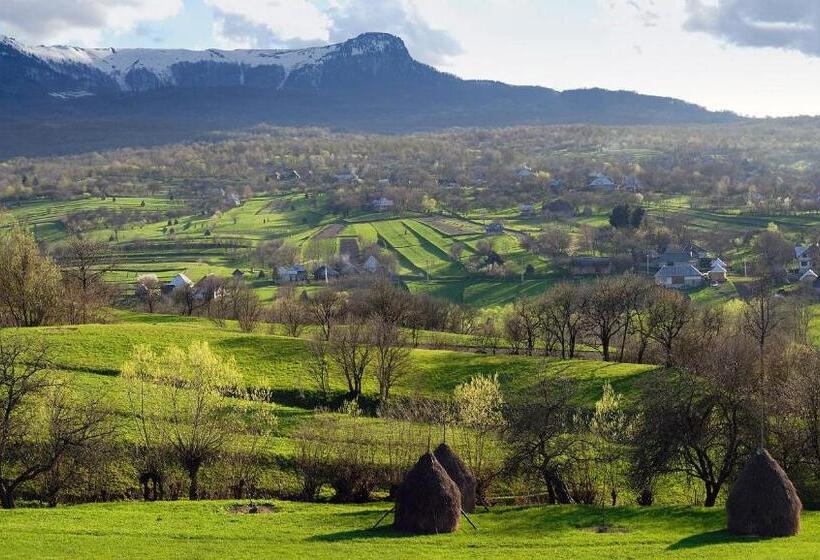 ペンション Sub Creasta Cocosului