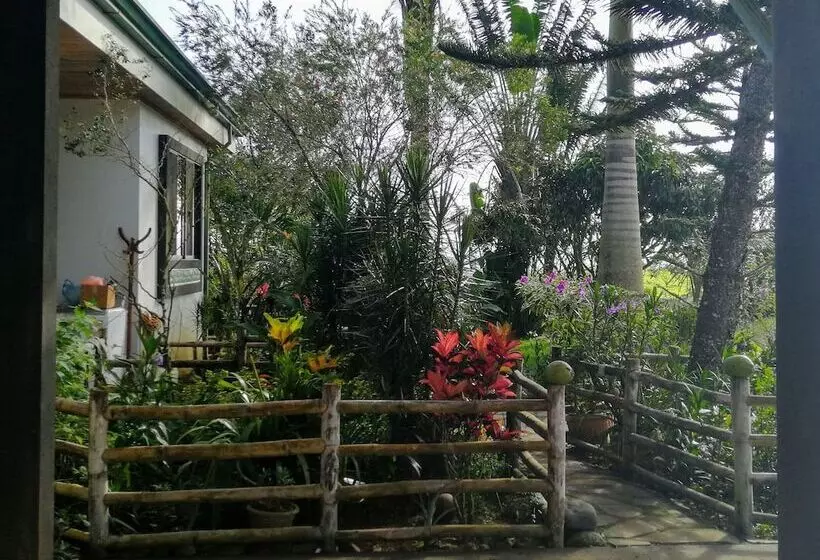ペンション Vista Valverde Pacific View Rentals