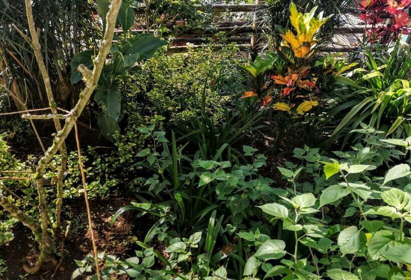 펜션 Vista Valverde Pacific View Rentals