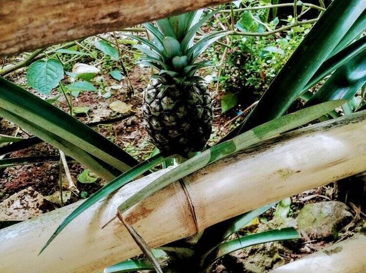 펜션 Vista Valverde Pacific View Rentals