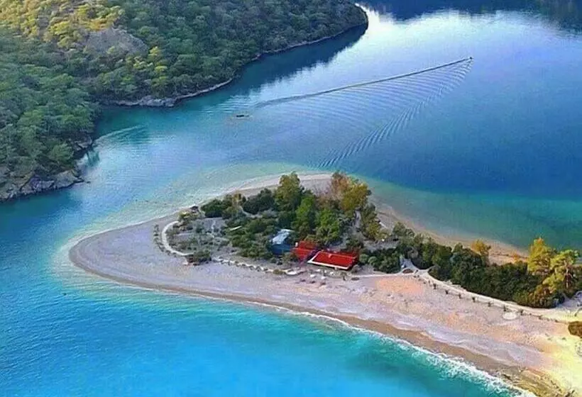 Petunya Pansiyon