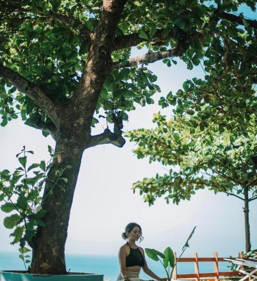 Resort Cliff Stories