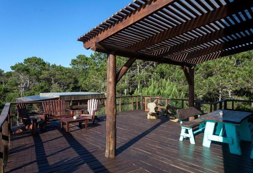 تختخواب و صبحانه Eco House Via Verde