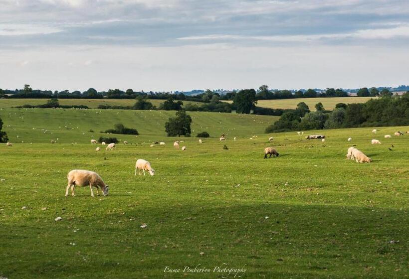ベッドアンドブレックファースト Park Farm